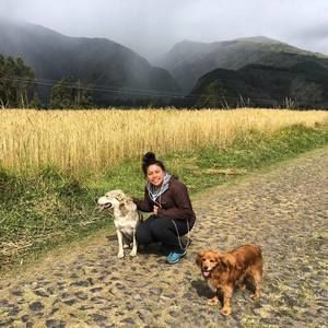 Meet your Posher, Molly